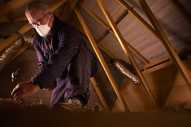 Professional Insulation Contractor in Forney, TX
