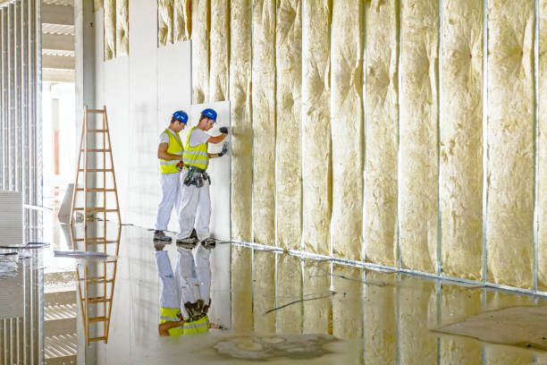 Best Fiberglass Insulation in Forney, TX